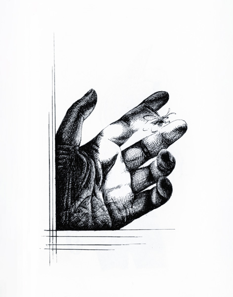 Firefly - ink pencil - 2026